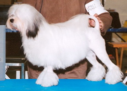 Victor